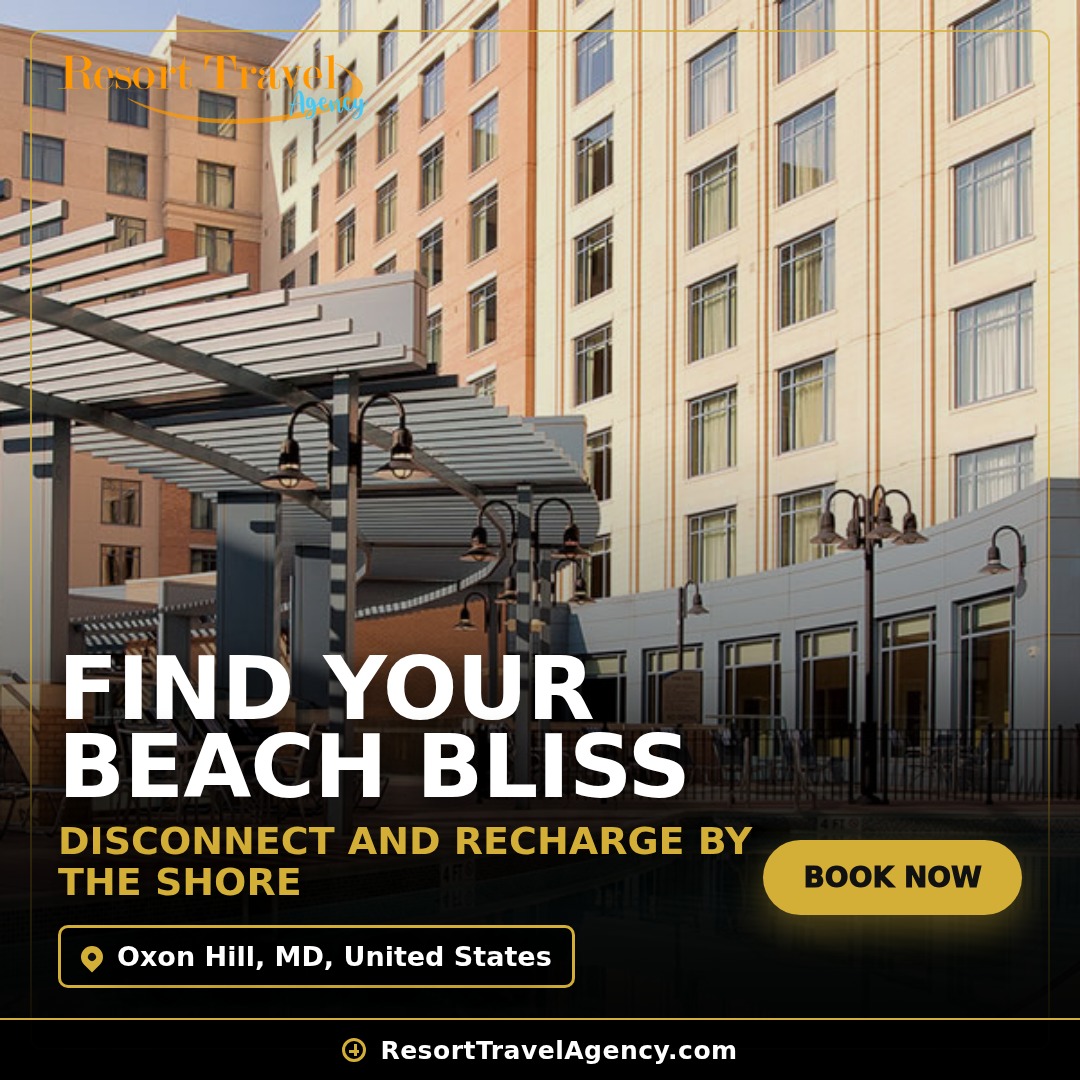 Beyond the Horizon: The Power of Beach Vacations to Disconnect